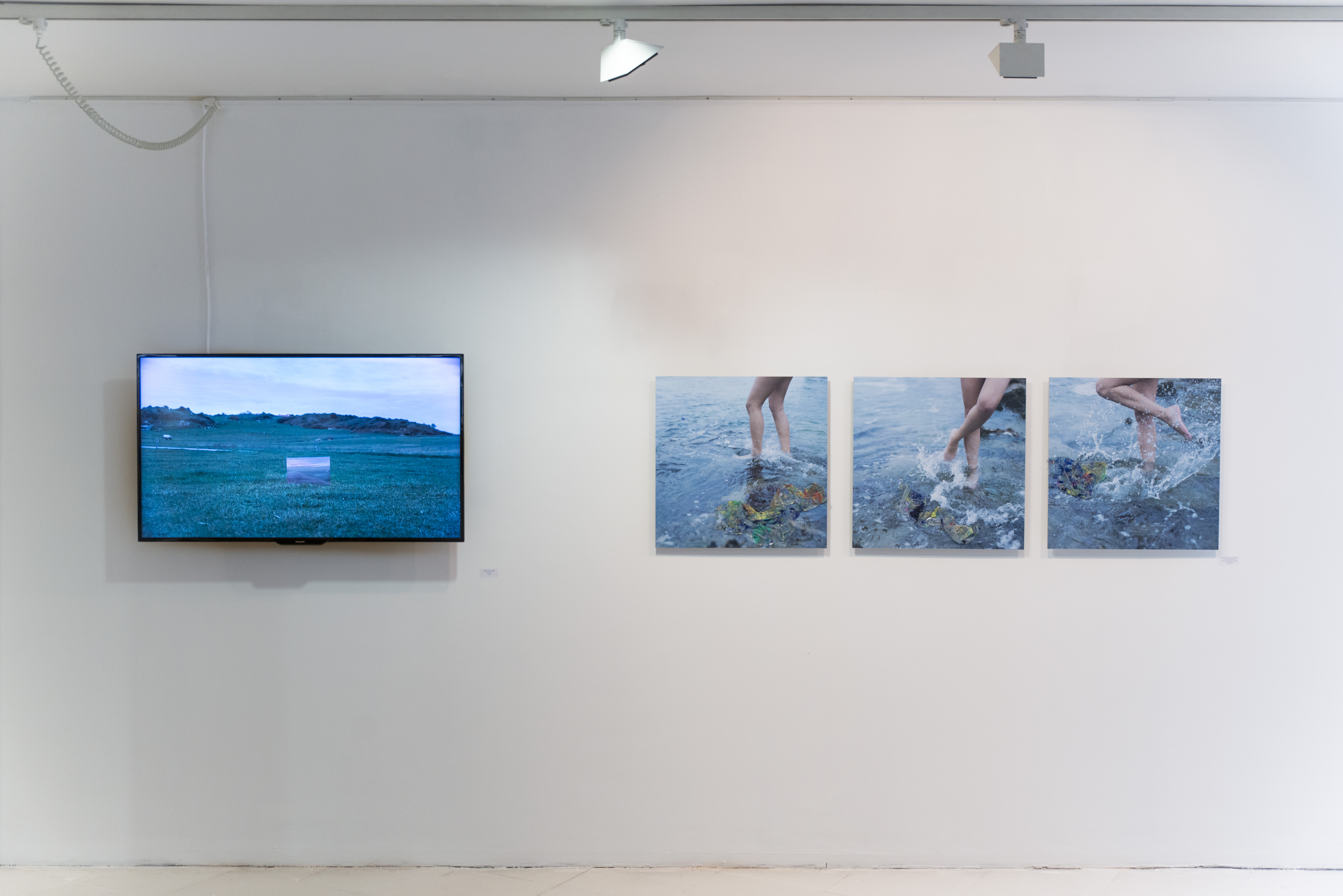 Exposición Symbiosis Naturae. Víctor Alba e Irene Cruz. CEART Fuenlabrada. 2016 - Pintura, Vídeo, fotografía y paisaje